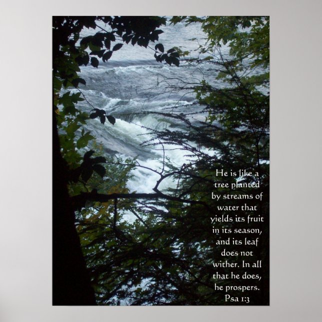 Affiche Psaume 1:3 (Devant)