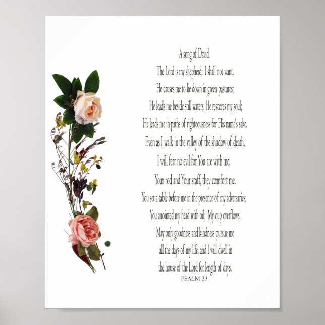Affiche Psaume, Fleur Rose, Papier d'affiche de valeur (Ma (Devant)