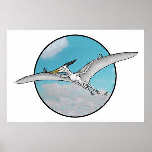 Affiche Pteranodon