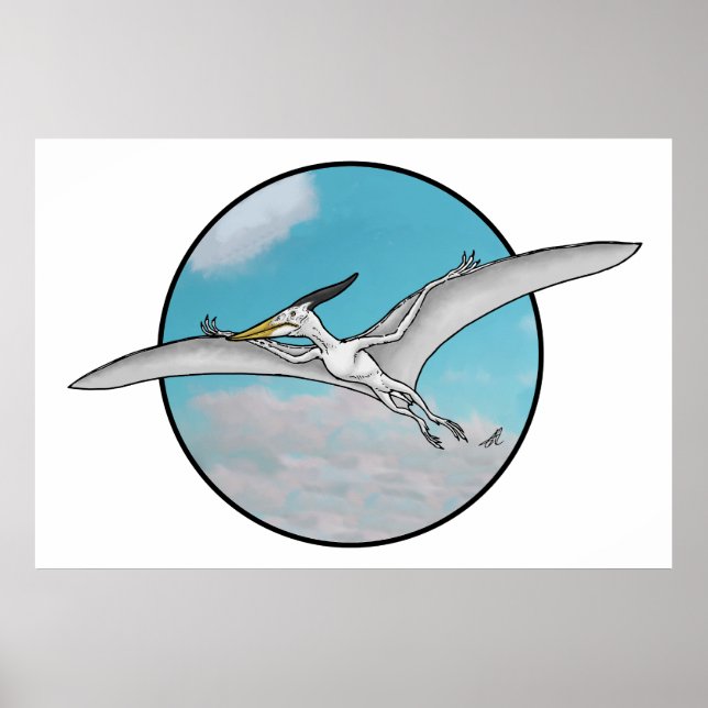 Affiche Pteranodon (Devant)