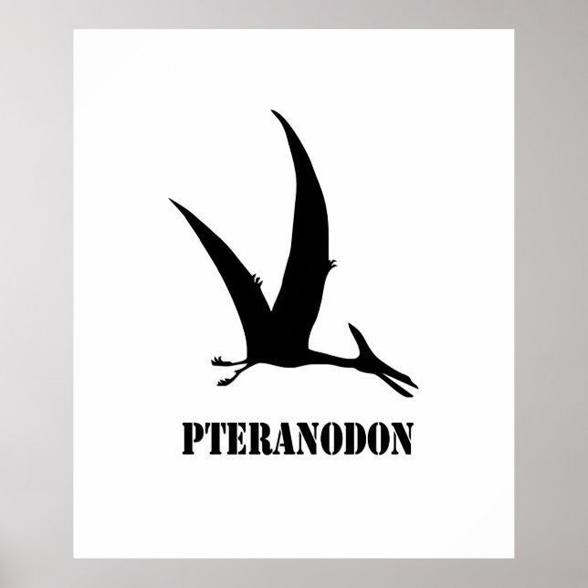Affiche pteranodon (Devant)