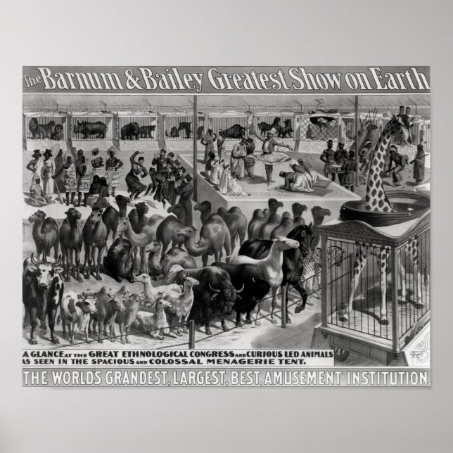 Affiche Publicité d'affiche, 'Le Barnum et Bailey (Devant)