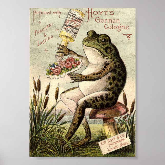 Affiche Publicité grenouille de l'ère victorienne sur cham (Devant)