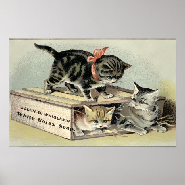 Affiche Publicité pour du savon avec des chatons de l'ère  (Devant)
