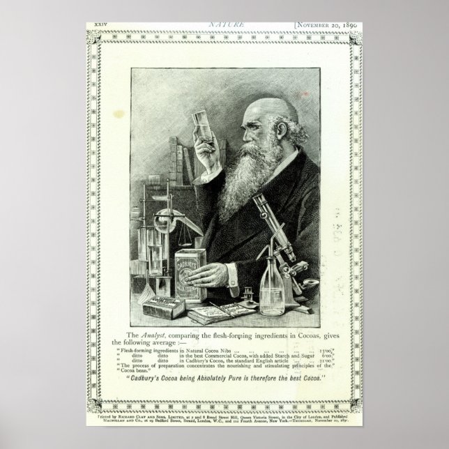 Affiche Publicité pour le cacao de 'Cadbury' (Devant)