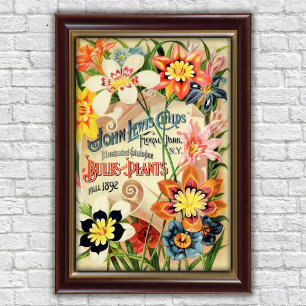 Affiche Publicité pour les bulbes de fleurs de Floral Park