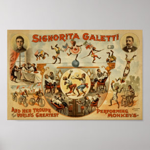 Affiche Publicité vintage de cirque