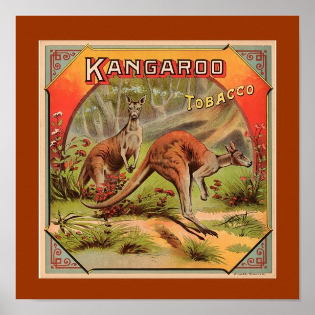 Affiche Publicité vintage Kangaroo (Devant)