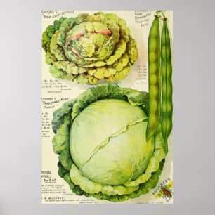Affiche Publicité vintage sur les légumes (1907)