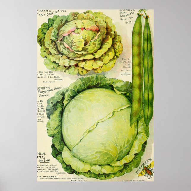 Affiche Publicité vintage sur les légumes (1907) (Devant)