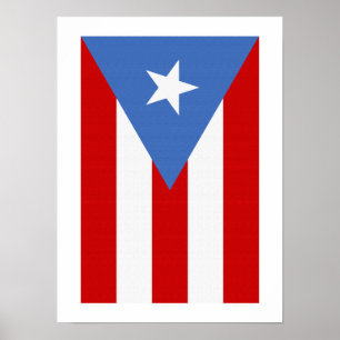 Affiche Puerto Rico Flag