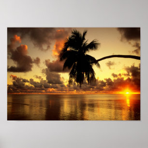 Affiche Puerto Vallarta