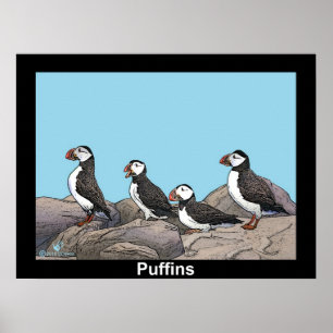 Affiche Puffins de l'Atlantique