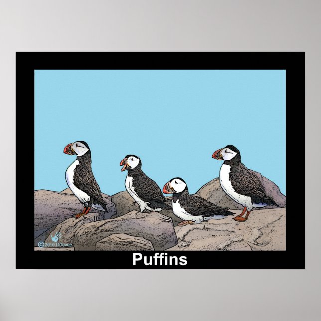 Affiche Puffins de l'Atlantique (Devant)