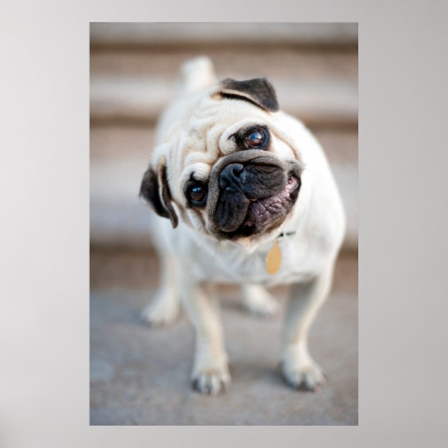 Affiche Pug Head Tilt (Devant)
