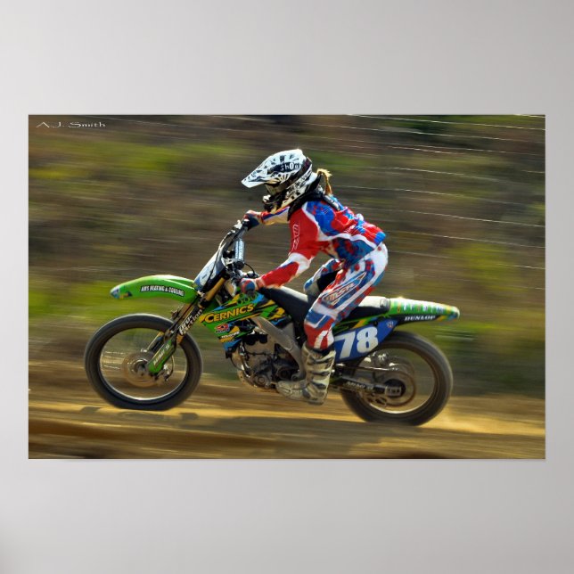 Affiche Puissance du pigeon (Devant)