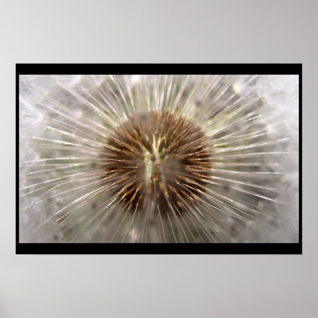 Affiche Pulsar (Devant)