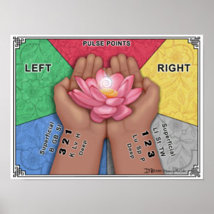 Affiche Pulse Point Wall Chart - Large