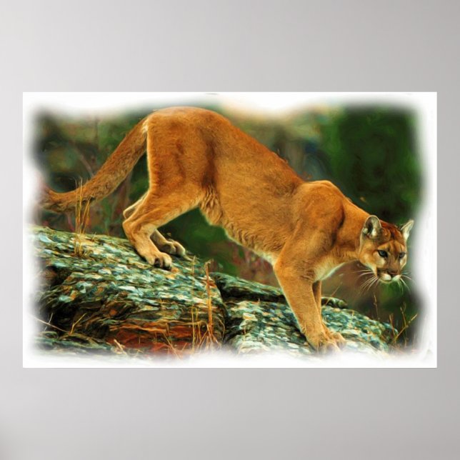 AFFICHE PUMA (Devant)