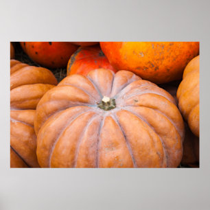 Affiche Pumpkin Season