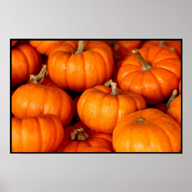 Affiche Pumpkins (Devant)