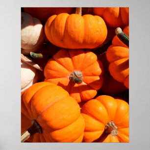 Affiche Pumpkins