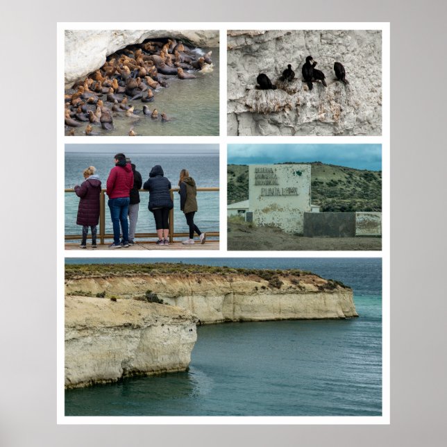 Affiche Punta loma photo collage, province de chubut, arge (Devant)