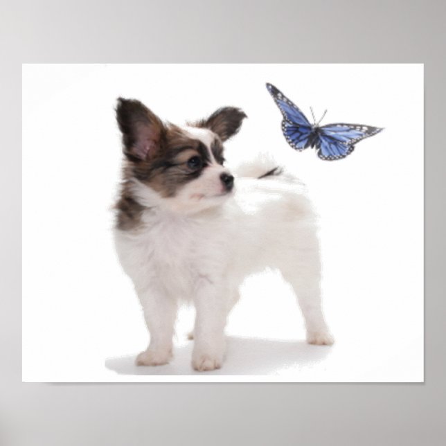 AFFICHE PUP AVEC BOUTEILLE (Devant)