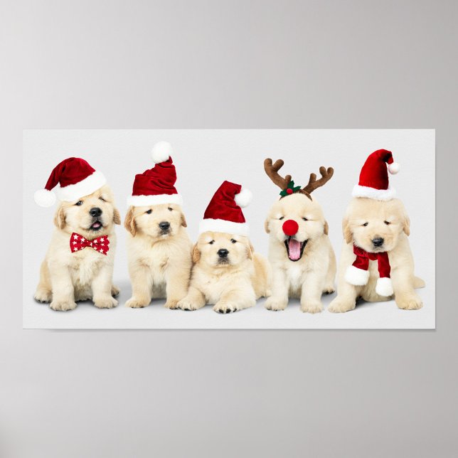 Affiche Puppies adorables (Festive dogs' ready for the Christmas Holiday!)
