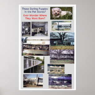 Affiche Puppy Mills brasse l'affiche Misery