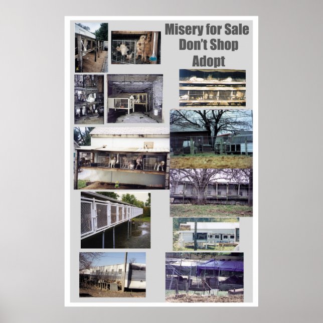 Affiche Puppy Mills brasse l'affiche Misery (Devant)