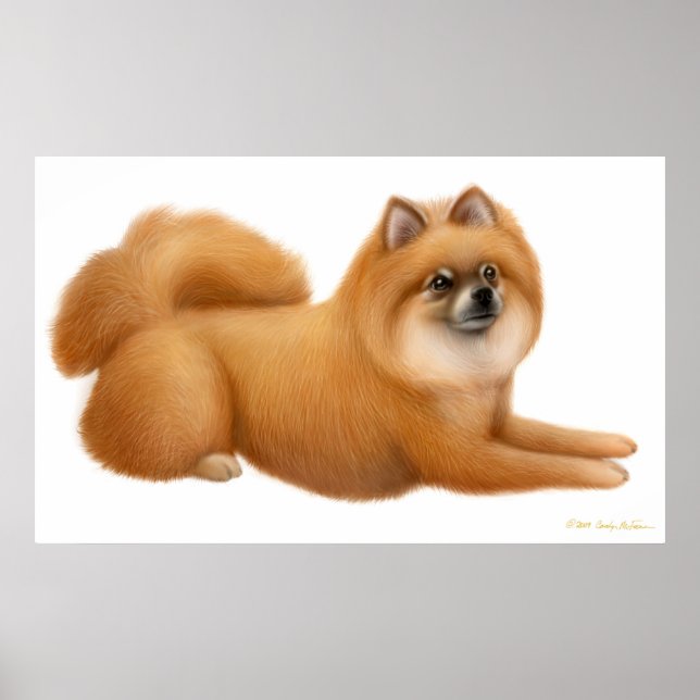 Affiche Puppy Pomeranian (Devant)