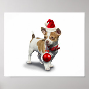 Affiche Puppy with christmas a et balle