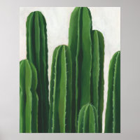 Pura Vida - Groupe Cactus
