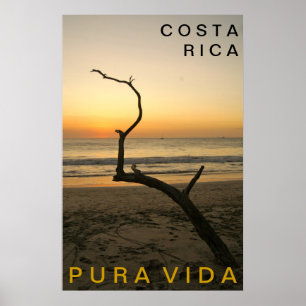 Affiche PURA VIDA Playa Flamingo