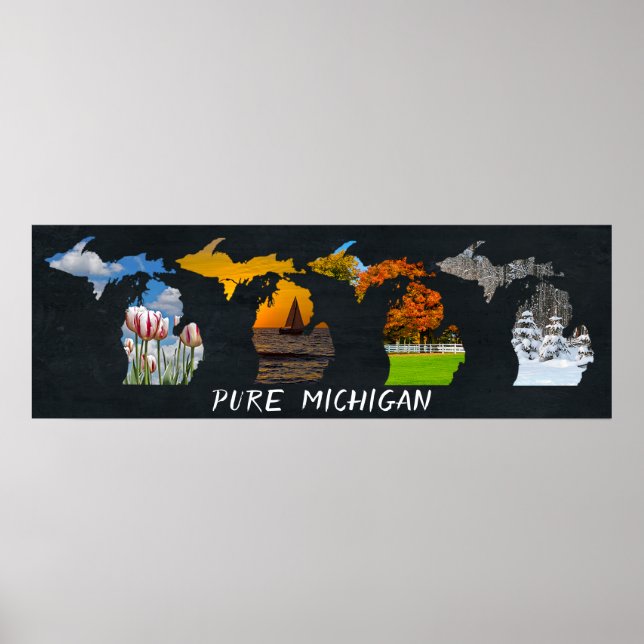 Affiche Pure Michigan Seasons Artwork (Devant)