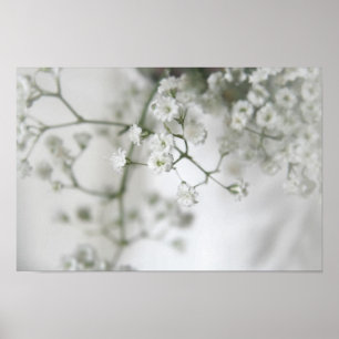Affiche Purity Canvas Print