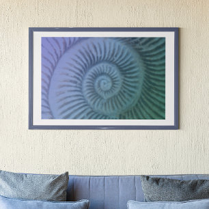 Affiche Purple and Green Spiral Ammonite Fossil Art Print