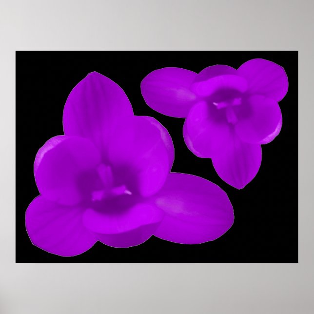 Affiche Purple Crocus Print (Devant)