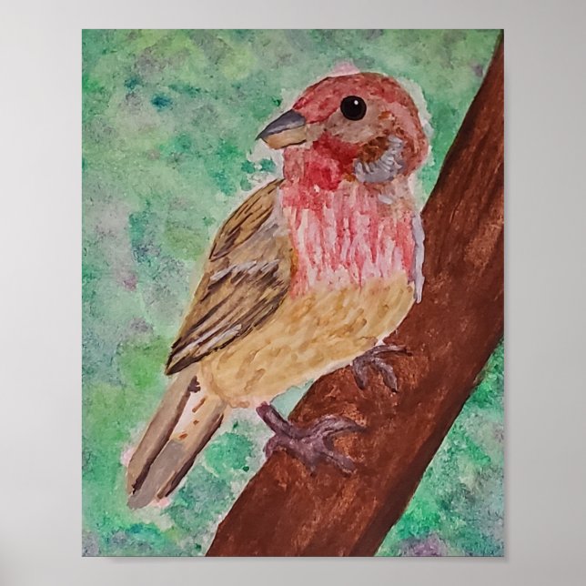 Affiche Purple Finch  (Devant)