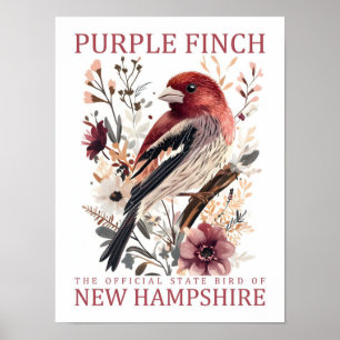 Affiche Purple Finch Bird of New Hampshire USA Travel