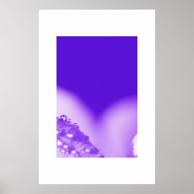 Affiche Purple humide (Devant)