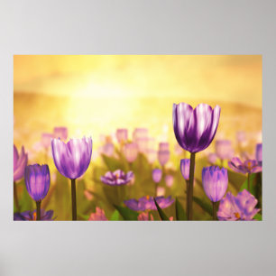 Affiche Purple Jubilé Imprimer