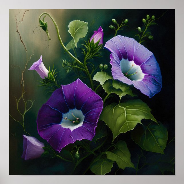 Affiche Purple Morning Glory Art Imprimer l'affiche (Devant)