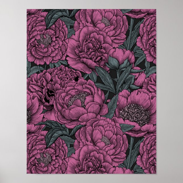 Affiche Purple peony flowers (Devant)