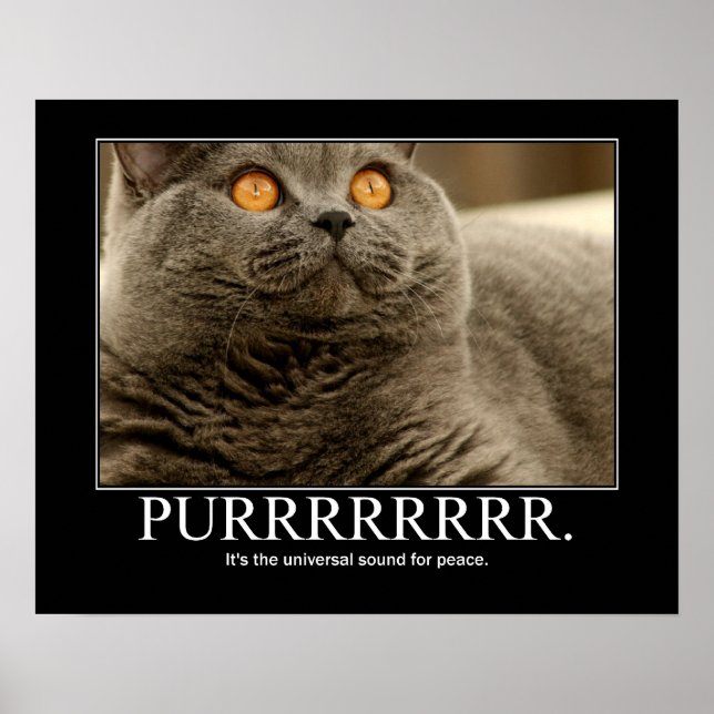 Affiche Purr est le son universel pour la paix Artwork (Devant)