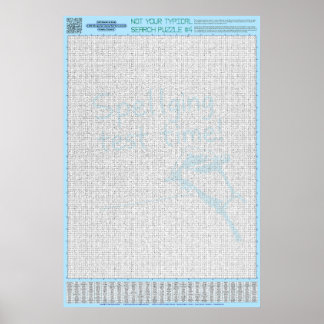 Affiche PUZZLE #4 : Mauvais orthographe - Chaotique