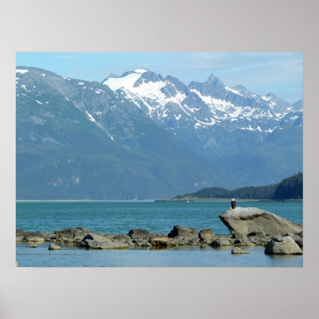 Affiche Pygargue à tête blanche à Skagway en Alaska (Devant)