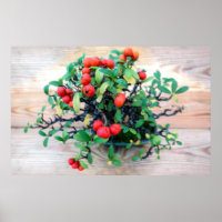 Pyracantha Bonsai Photo d'arbre japonais