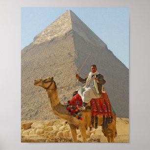 Affiche Pyramides de Gizeh et promenade à dos de chameau, 
